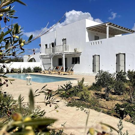 Naxos City White Pearl Villa Naxos With Private Swimming Pool מראה חיצוני תמונה