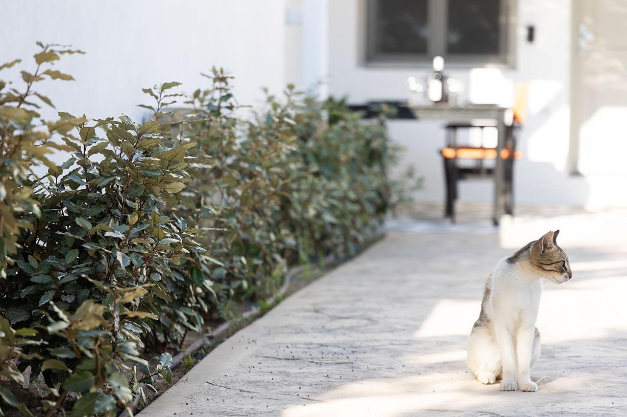 Naxos City White Pearl Villa Naxos With Private Swimming Pool מראה חיצוני תמונה